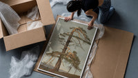 gnarled windblown pine tree against sky vintage art print framed print being unpacked from protective bubble wrap and a box