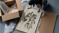 engraved currant branch study vintage art print framed print being unpacked from protective bubble wrap and a box