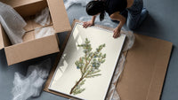 juniper branch with berries vintage art print framed print being unpacked from protective bubble wrap and a box