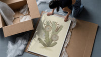 cactus with flowers vintage art print framed print being unpacked from protective bubble wrap and a box