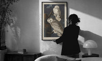 Audubon Snowy Owl print in a slim black frame being hung on a sunlit wall in a monochrome room
