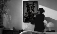 Doberman Pistol Spiked Collar print in a slim black frame being hung on a sunlit wall in a monochrome room