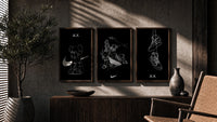 KAWS Companion x Nike Swoosh Sketch Triptych in walnut frames above a sideboard in a warm room