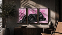KAWS Pink Reclining Companion Set of 3 in walnut frames above a sideboard in a warm room