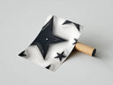 Inflated black stars in liquid glossy finish against white background, rolled poster with cardboard tube