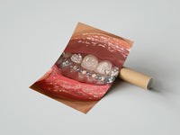 Gently curled Rows of Tooth Gems print beside its protective shipping tube