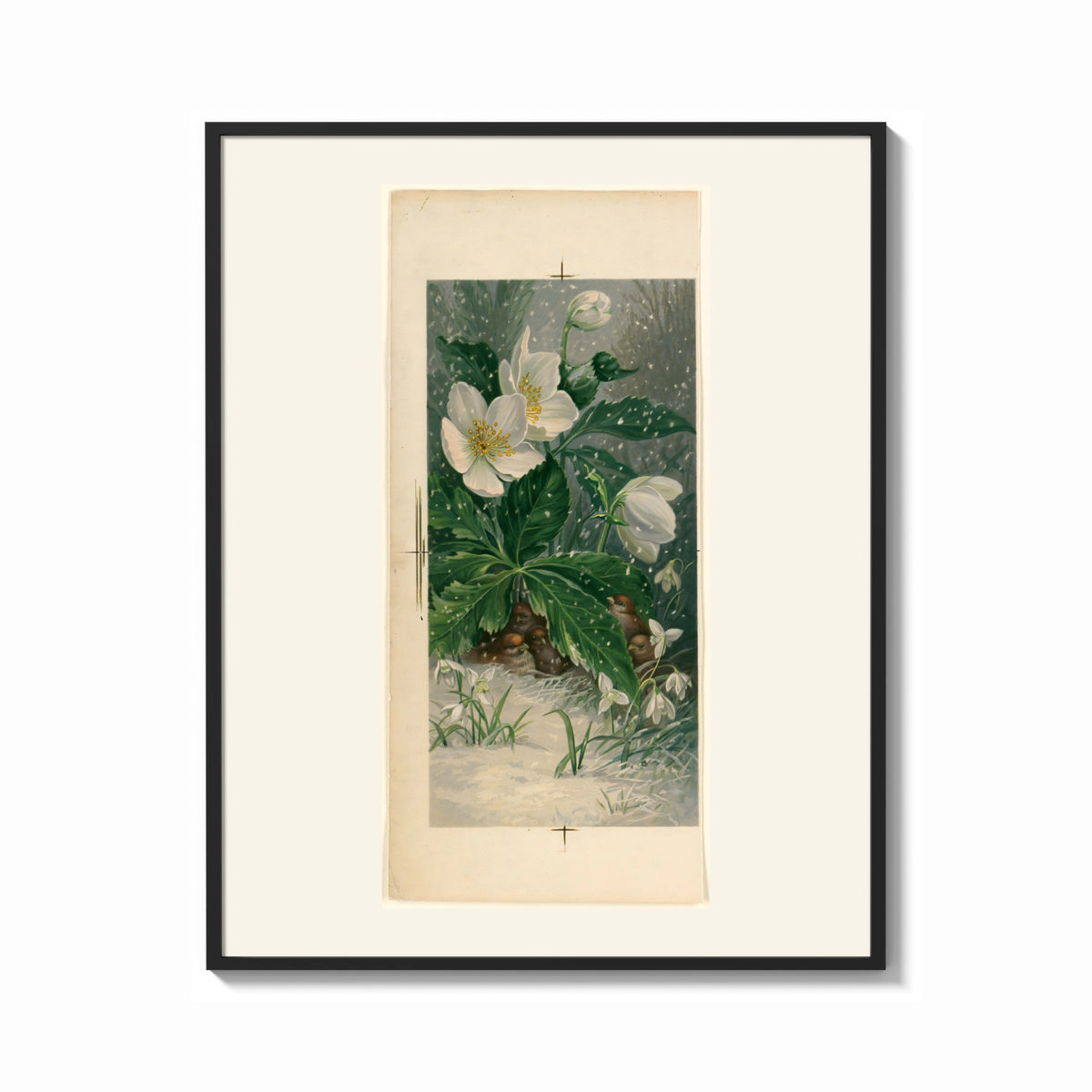 Framed White hellebore flowers with sparrows print shown as a bold statement piece on a clean gallery wall