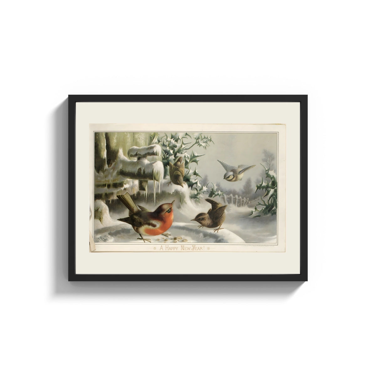 Framed Robin, wrens and tit in snow print shown as a wide statement piece on a clean white wall