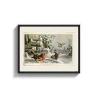Framed Robin, wrens and tit in snow print shown as a wide statement piece on a clean white wall