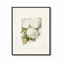 Framed White chrysanthemum flowers with leaves print shown as a bold statement piece on a clean gallery wall