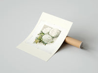 Rolled White chrysanthemum flowers with leaves poster beside its crush-resistant kraft shipping tube