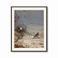 Framed American robin perched on branch print shown as a bold statement piece on a clean gallery wall