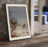 American robin perched on branch print in a black frame leaning beside a vintage door on parquet