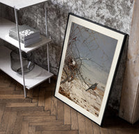 American robin perched on branch poster in a black frame leaning beside a shelf in a raw-plaster loft
