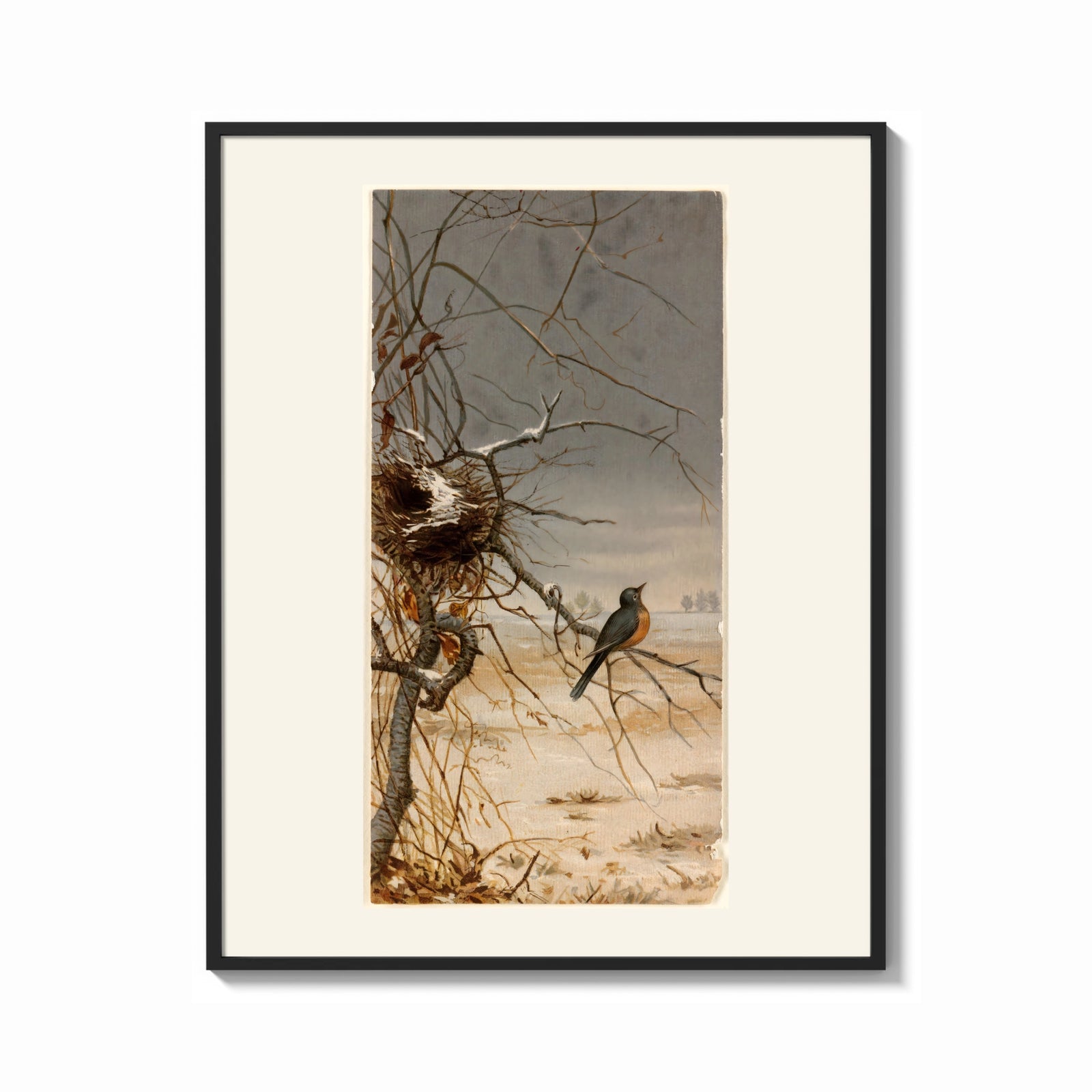 Framed Robin perched on bare branch print shown as a bold statement piece on a clean gallery wall