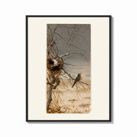 Framed Robin perched on bare branch print shown as a bold statement piece on a clean gallery wall