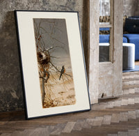 Robin perched on bare branch print in a black frame leaning beside a vintage door on parquet