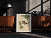 Black-framed Warbler bird perched on pine branch print on a moody console with designer coffee-table books