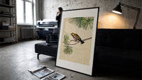 Warbler bird perched on pine branch print in a slim black frame leaning on a dark sofa in a concrete print studio