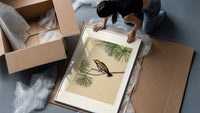 Warbler bird perched on pine branch framed print being unpacked from protective bubble wrap and a box