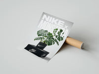 Rolled Monstera plant in Nike pot poster beside its crush-resistant kraft shipping tube