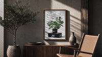 Monstera plant in Nike pot poster framed above a fluted sideboard beside an olive tree
