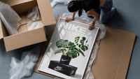 Monstera plant in Nike pot framed print being unpacked from protective bubble wrap and a box