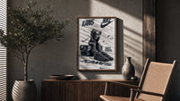 KAWS Companion figure and sneaker poster framed above a fluted sideboard beside an olive tree