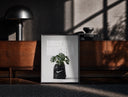 Black-framed Monstera plant in Nike garbage bag print on a moody console with designer coffee-table books
