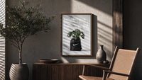Monstera plant in Nike garbage bag poster framed above a fluted sideboard beside an olive tree