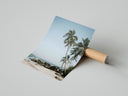 Palm trees on tropical beach poster styled above furniture in a modern room