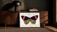 Butterfly with patterned wings print in a black frame leaning against a walnut console in lamplight