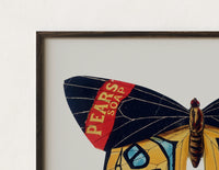 Close-up of the Butterfly with patterned wings print's dark wood frame corner and archival matte paper