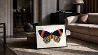 Butterfly with patterned wings print in a slim black frame leaning on a travertine coffee table