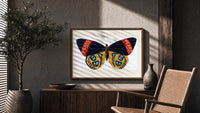 Butterfly with patterned wings print in a wood frame above a fluted sideboard beside an olive tree