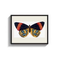 Framed Butterfly with patterned wings print shown as a wide statement piece on a clean white wall