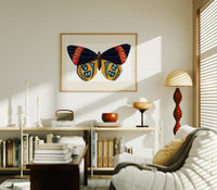 Butterfly with patterned wings print in an oak frame above a mid-century book console with a vintage radio