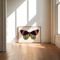 Butterfly with patterned wings print in an oak frame on a sunlit wood floor beneath tall window light