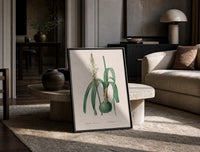 Botanical illustration of flowering bulb plant print in a black frame leaning on a travertine table in a sunlit lounge