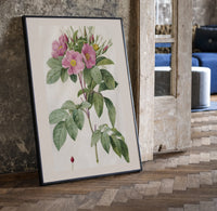 Pink wild roses botanical study print in a black frame leaning beside a vintage door on parquet