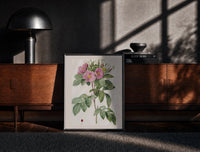 Black-framed Pink wild roses botanical study print on a moody console with designer coffee-table books
