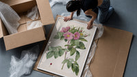 Pink wild roses botanical study framed print being unpacked from protective bubble wrap and a box