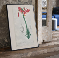 Botanical illustration of pink lily print in a black frame leaning beside a vintage door on parquet