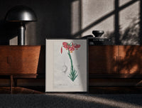 Black-framed Botanical illustration of pink lily print on a moody console with designer coffee-table books