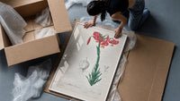 Botanical illustration of pink lily framed print being unpacked from protective bubble wrap and a box