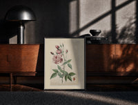 Black-framed Pink rose botanical illustration print on a moody console with designer coffee-table books