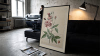 Pink rose botanical illustration print in a slim black frame leaning on a dark sofa in a concrete print studio