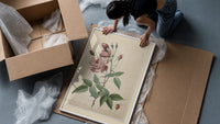 Pink rose botanical illustration framed print being unpacked from protective bubble wrap and a box