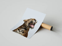 Roaring leopard portrait poster with open mouth on grey background with a shipping tube