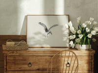 Seagull in flight print in an oak frame on a farmhouse dresser beside white tulips